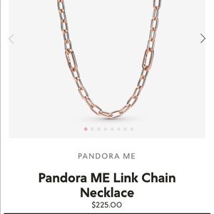 Pandora ME Link Chain Necklace